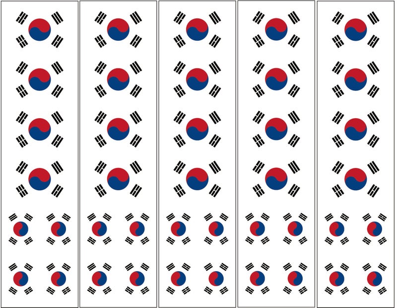 PremiumTT temporary tattoos 40 Removable Stickers: South Korea Flag: Korean Party Favors, Decals - Image 1